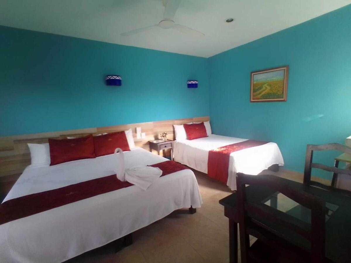 Hotel Acuario Playa Del Carmen Dış mekan fotoğraf